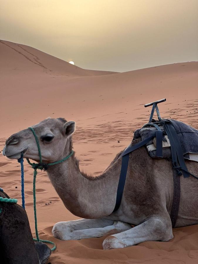 Riad Aicha & Camel Trekking مرزوكة المظهر الخارجي الصورة