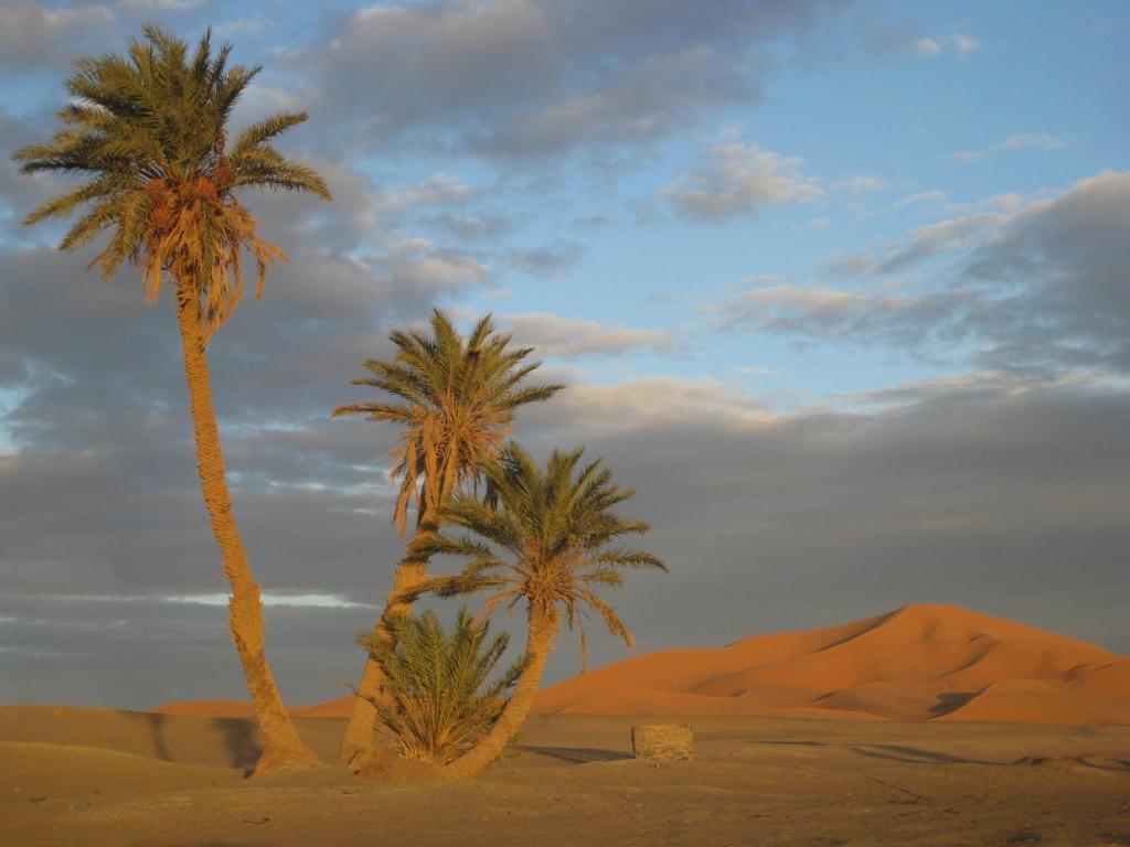 Riad Aicha & Camel Trekking مرزوكة المظهر الخارجي الصورة